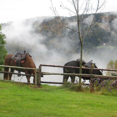 Wohlfuehlbauernhof Siebernegg Villa Eibiswald Eksteriør bilde