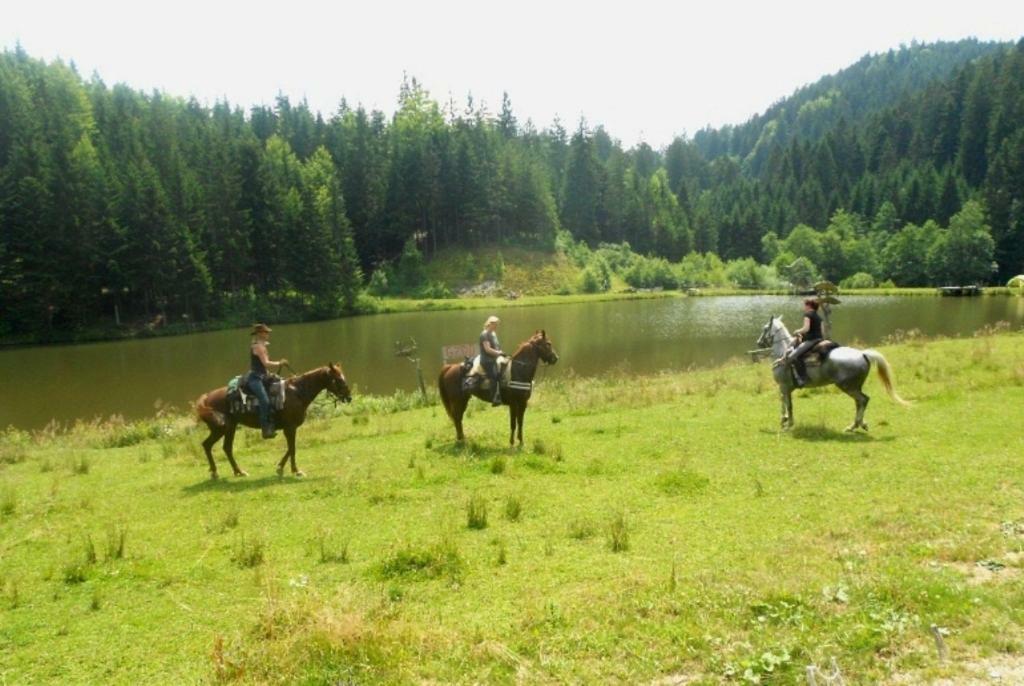 Wohlfuehlbauernhof Siebernegg Villa Eibiswald Eksteriør bilde